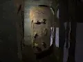 Место, где стоит побывать! Замок Кархумяки / система круговой обороны финнов во время ВОВ