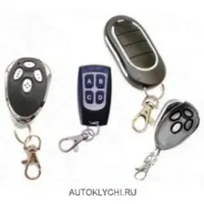 Пульт «2 в 1 для Alutech» (Пульты Прайм-Пульт) (код 3129)